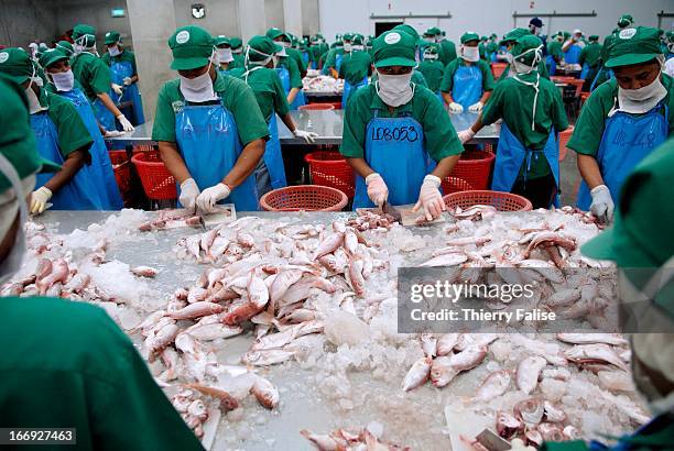 Workers sort out and cut the fish at a Halal fish food factory, in one of the three Muslim majority provinces in Southern Thailand affected by...