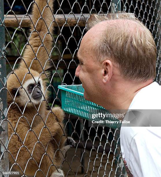 Edwin Wiek of Holland, founder of the Kao Look Chang Wildlife Rescue Center, plays with a White Handed Gibbon . The center was founded by Wiek in...