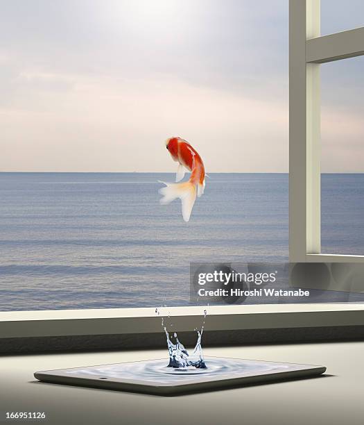 goldfish is escaping to sea from tablet pc - augmented reality animal stock-fotos und bilder