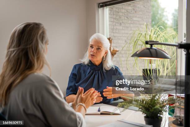 counselling session between female accountancy specialist and client - informatie stockfoto's en -beelden