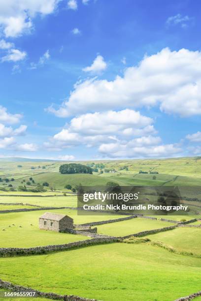 yorkshire dales national park, yorkshire, england - heaven stock pictures, royalty-free photos & images