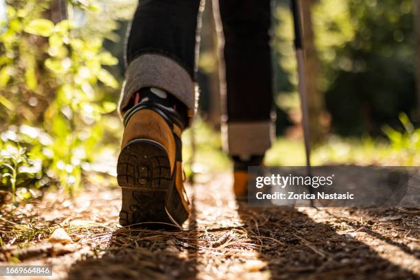 gros plan de bottes, bâtons de trekking pour la marche nordique en plein air - marches photos et images de collection