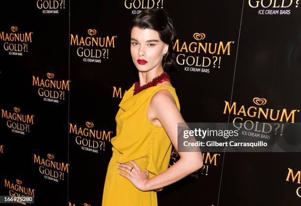 Model Crystal Renn attends the premiere of "As Good As Gold" during the 2013 Tribeca Film Festival at Gotham Hall on April 18, 2013 in New York City.