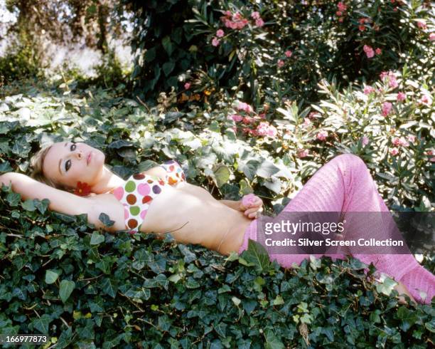 German actress Elke Sommer lying among ivy and rhododendrons, wearing a spotted bikini top and pink, knitted trousers, circa 1965.