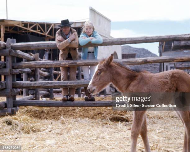 American actor and singer Dean Martin and Swedish-American actress Inger Stevens looking at a foal during filming of Henry Hathaway's western, '5...