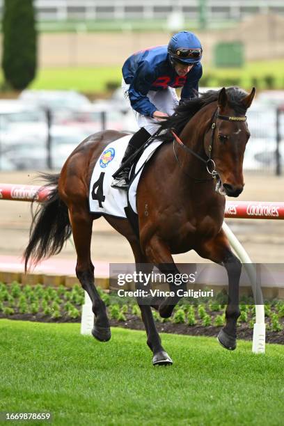 John Allen riding Steparty before winning Race 5, the Mcmahon's Dairy Mckenzie Stakes, during Melbourne Racing at Moonee Valley Racecourse on...