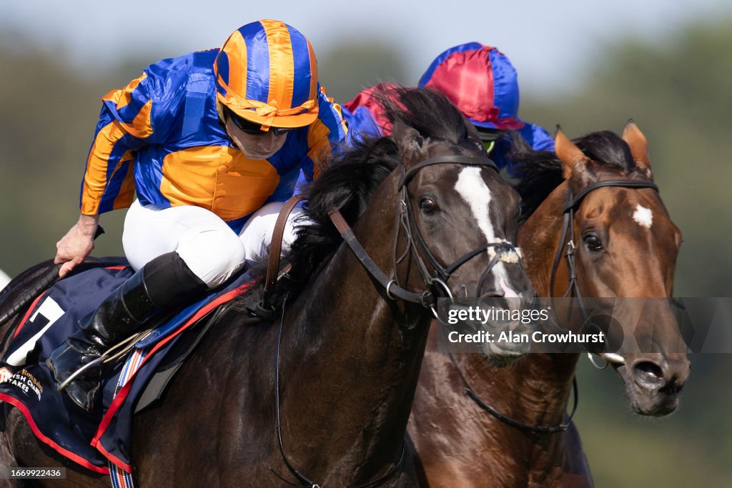 Leopardstown Races