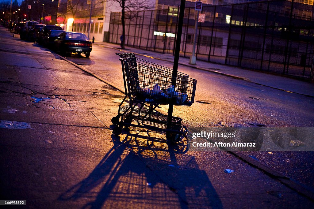NYC Grocery Cart