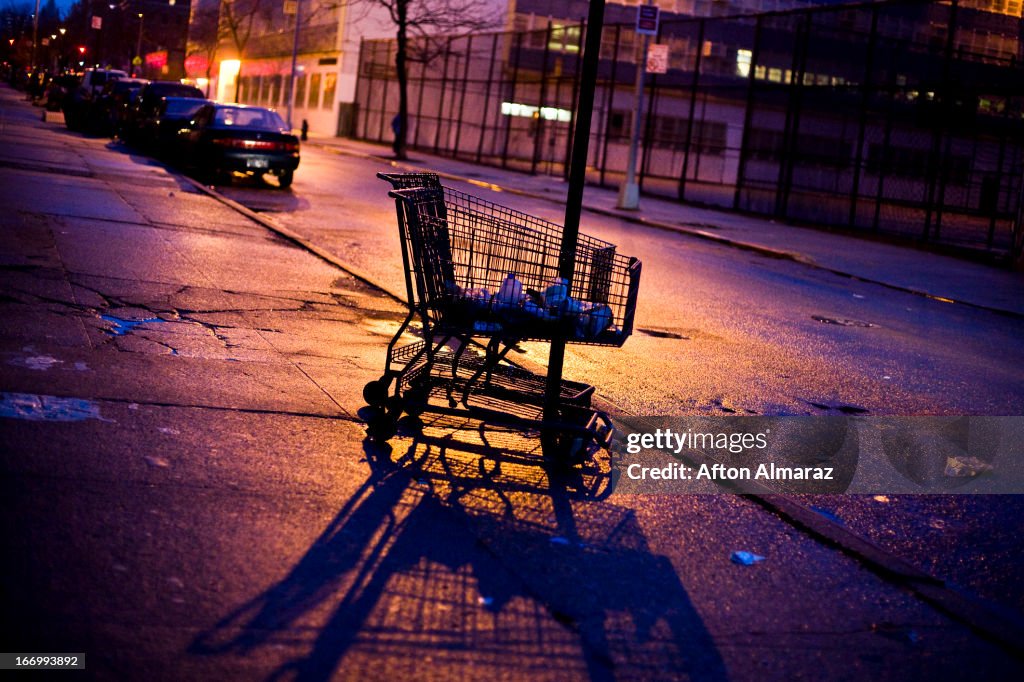 NYC Grocery Cart