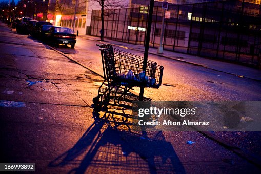 NYC Grocery Cart NYC Grocery Cart