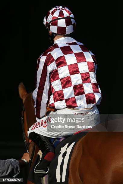 Detail of Jockeys silks at Ascot Racecourse on September 09, 2023 in Ascot, England.