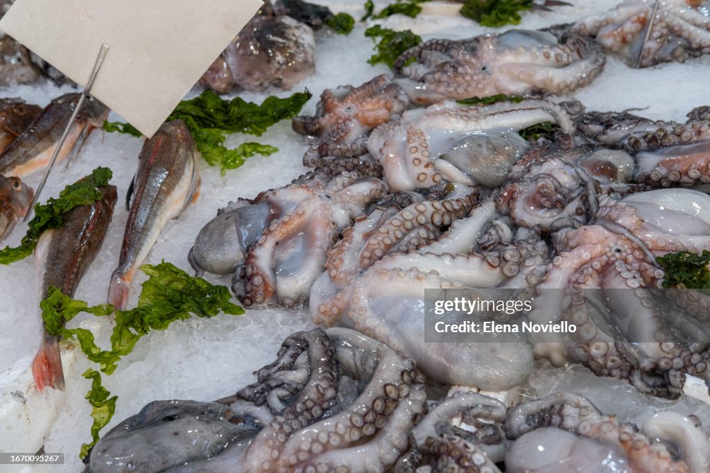 Fresh fish and seafoods anchovies perch squid squid and clams at the local fish market