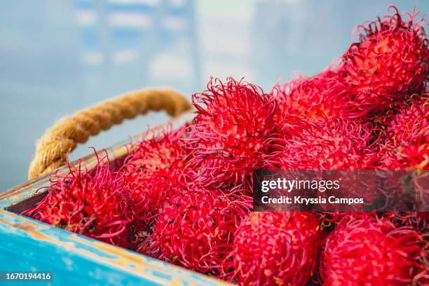 Lichen Rambutan 152 Rambutan Lychee Stock Photos, High-Res Pictures, and Images - Getty ...