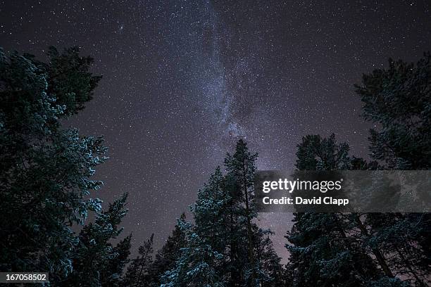 the milky way, kiruna, sweden, scandinavia - looking up at stars stock pictures, royalty-free photos & images