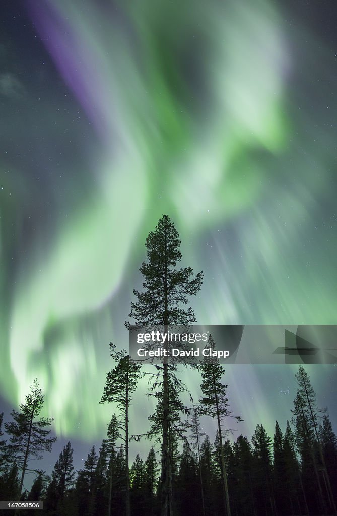 Aurora, Kiruna, Sweden, Scandinavia