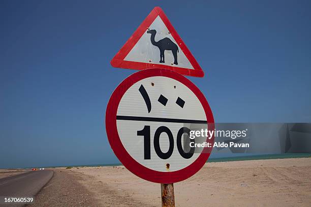 oman, road sign that warns the passage of camels - camel crossing sign stock pictures, royalty-free photos & images