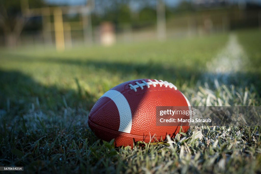 Football in Grass on White Line in Field