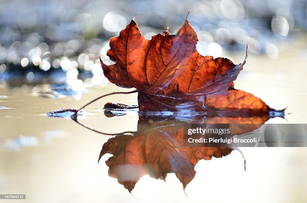 Luci e riflessi d'autunno