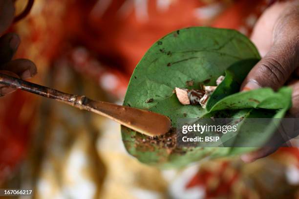 Areca nut, Grocer financed by a loan from the Grameen microcredit bank. Bangladesh. Areca nut quid in leaf.