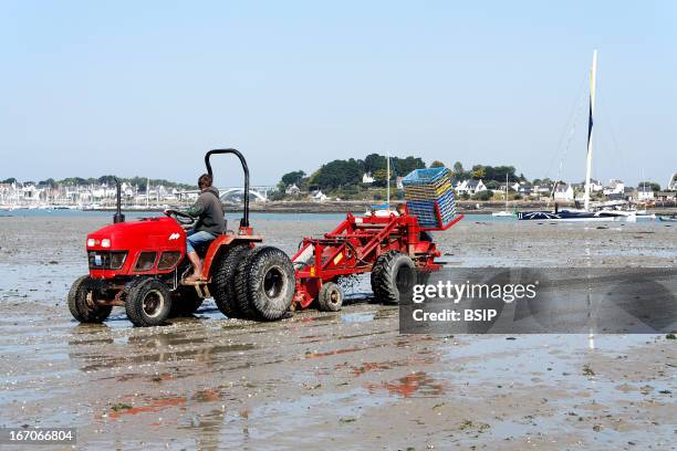 63 Vibrating Roller Stock Photos, High-Res Pictures, and Images - Getty ...