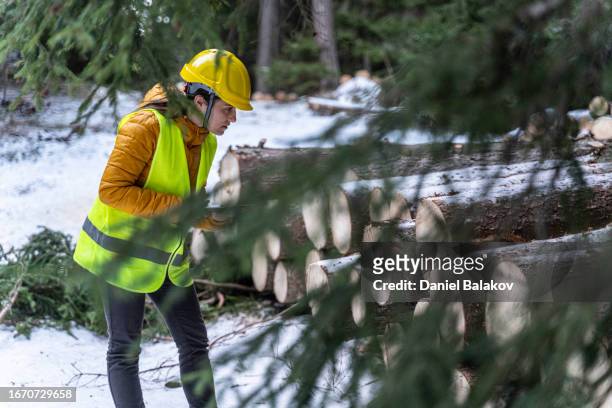 sustainable log cabin construction. - winter testing imagens e fotografias de stock