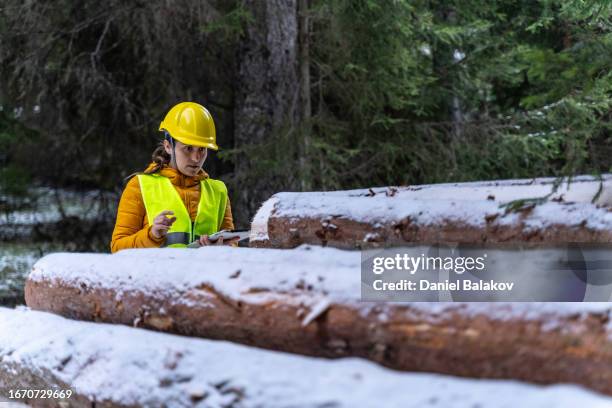 sustainable log cabin construction. - forestry industry stock pictures, royalty-free photos & images