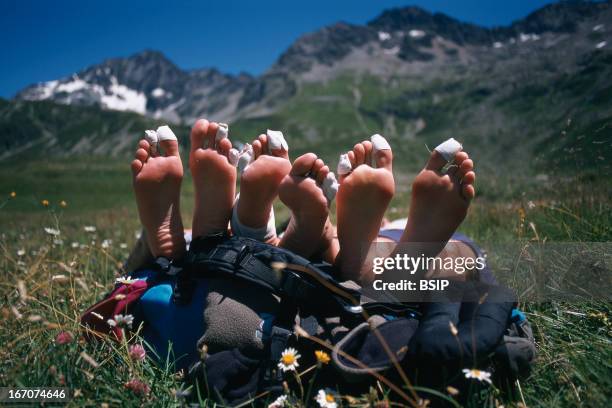 Universal Images Group via Getty Images)