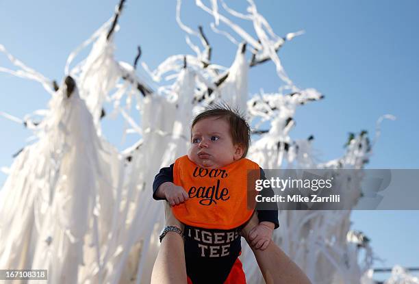 Avery Devane Is held up by her mother in front of the Toomer's trees during the Auburn Oaks at Toomer's Corner Celebration on April 20, 2013 in...