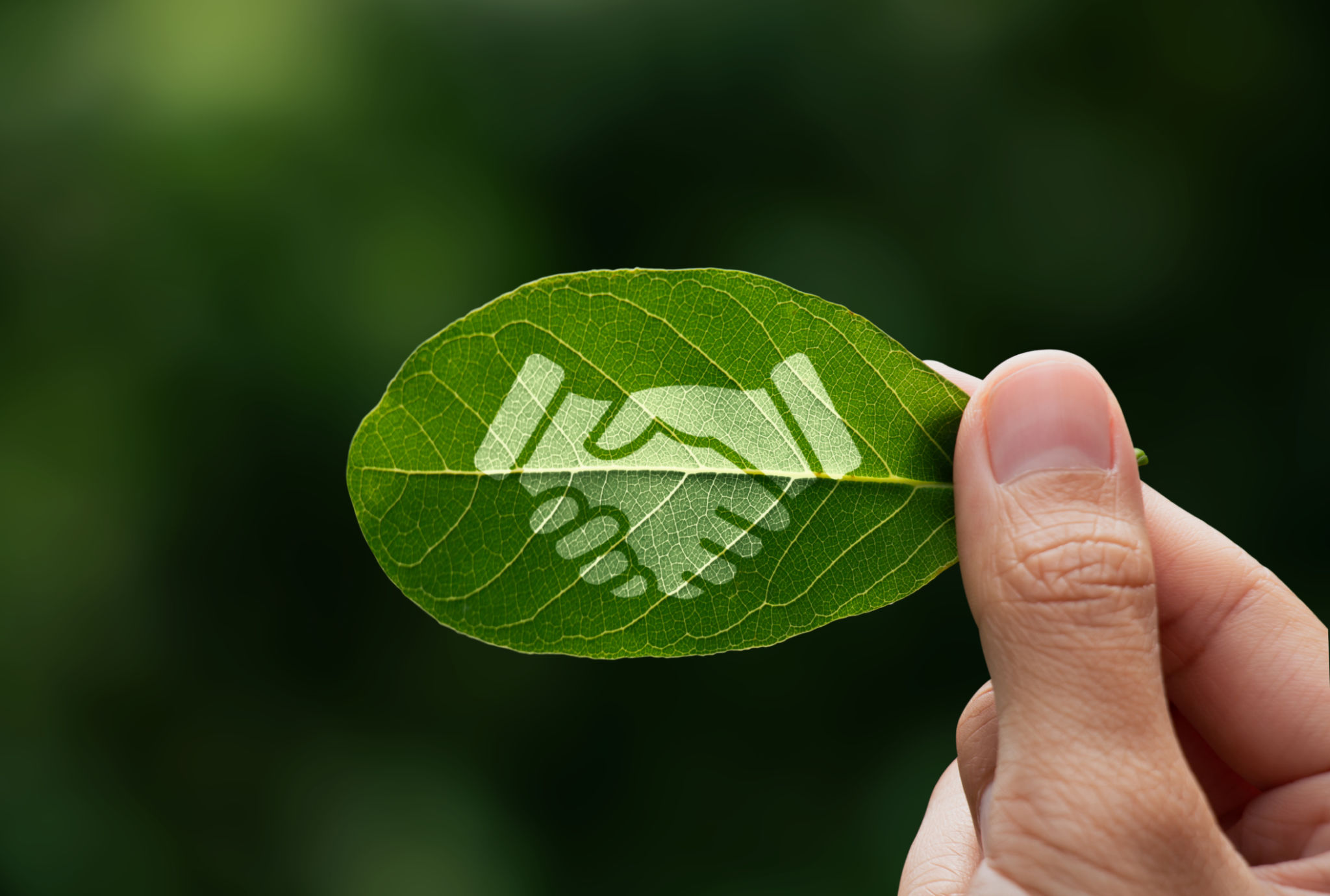 sustainability community