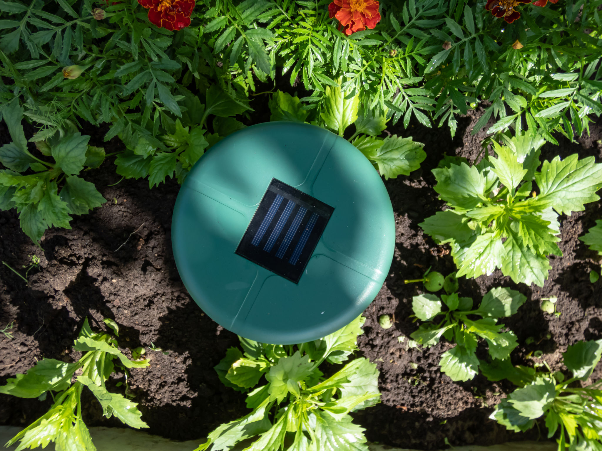 ultrasonic pest repeller