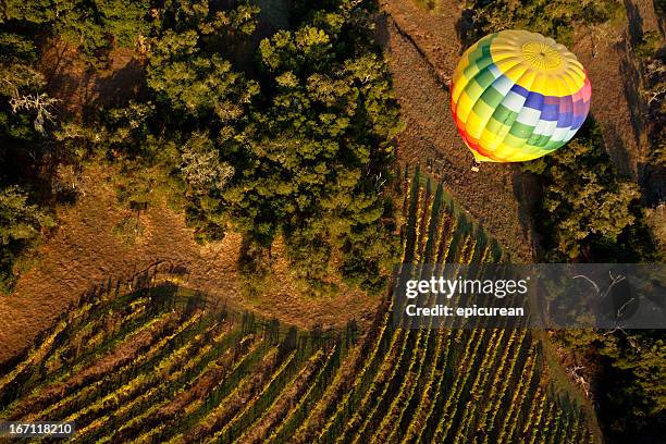in mongolfiera sopra un vigneto di napa valley - mongolfiera foto e immagini stock
