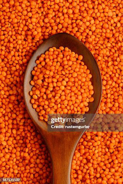 red lentills - red lentil stock pictures, royalty-free photos & images