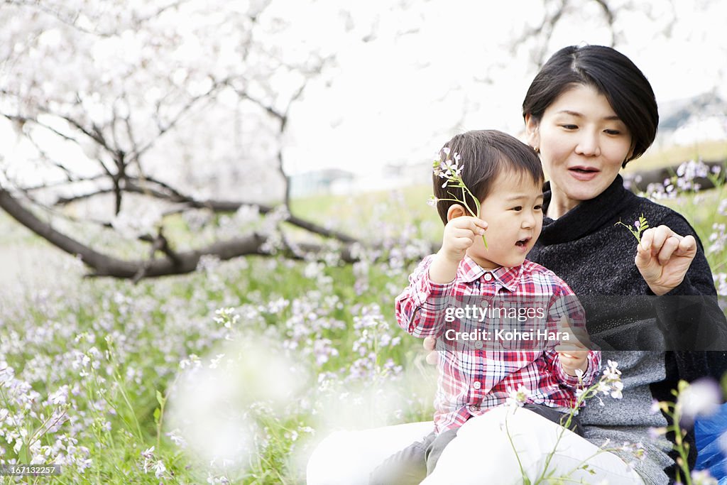 Mother and son having a picnic in the flower field
