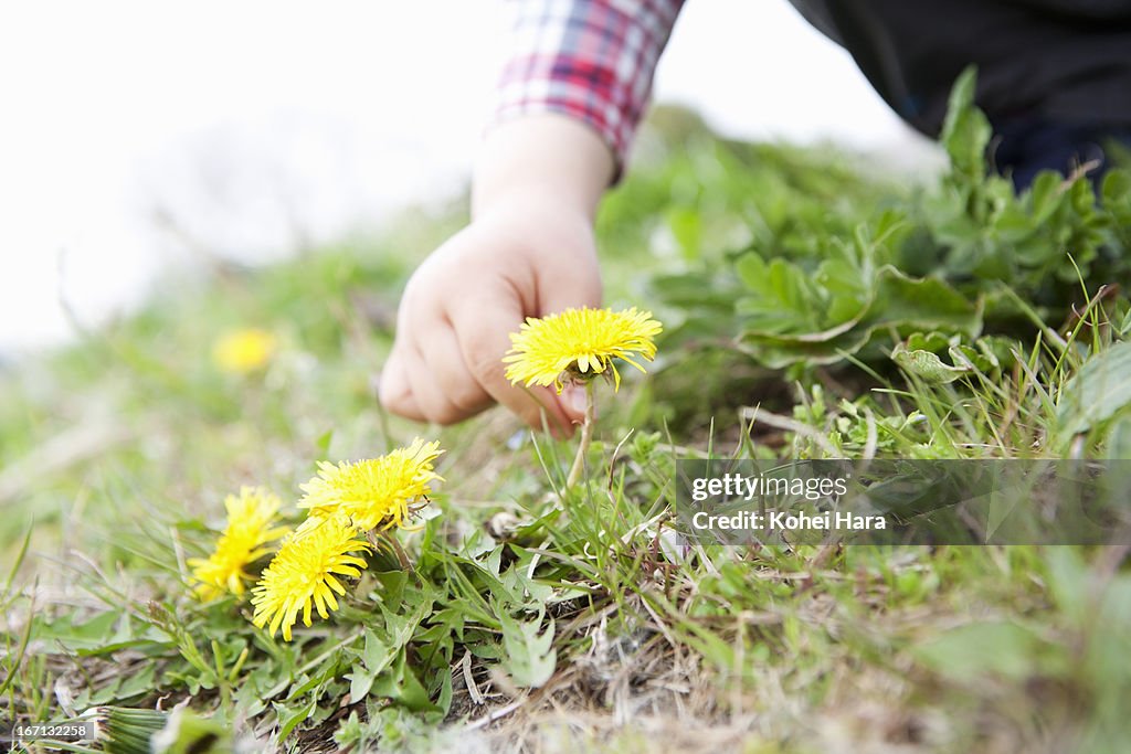 A boy playing in the green field