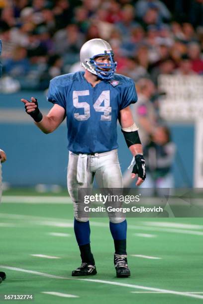 Linebacker Chris Spielman of the Detroit Lions looks on from the field during a game against the Minnesota Vikings at the Pontiac Silverdome on...