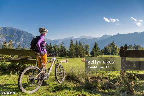 scenic holiday biking in salzkammergut, austria - palissades stockfoto's en -beelden