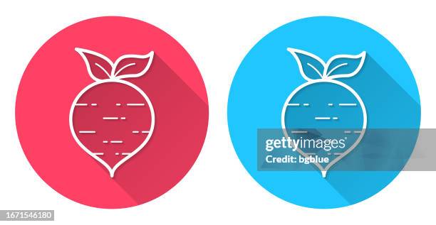 beetroot. round icon with long shadow on red or blue background - beetroot stock illustrations