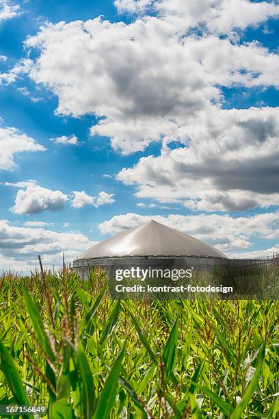 biomasse energie pflanze unter eine große wolkengebilde energiewende biogas fahren - biogas stock-fotos und bilder