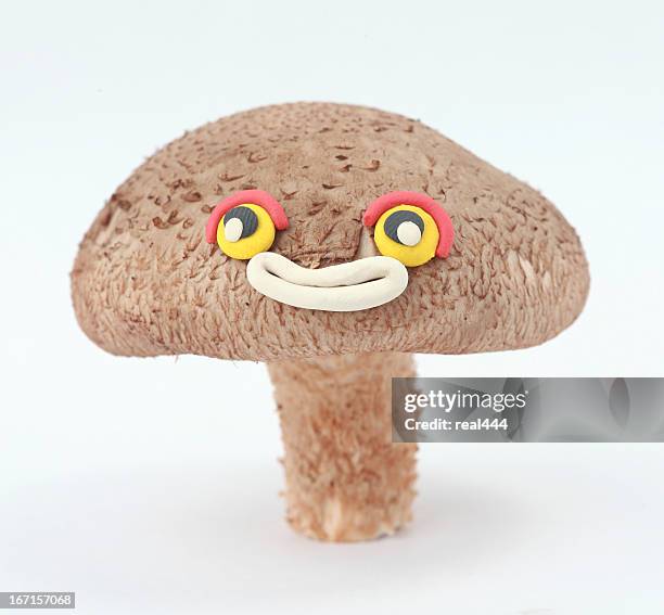 creative fruits and vegetables - shiitake mushroom stockfoto's en -beelden