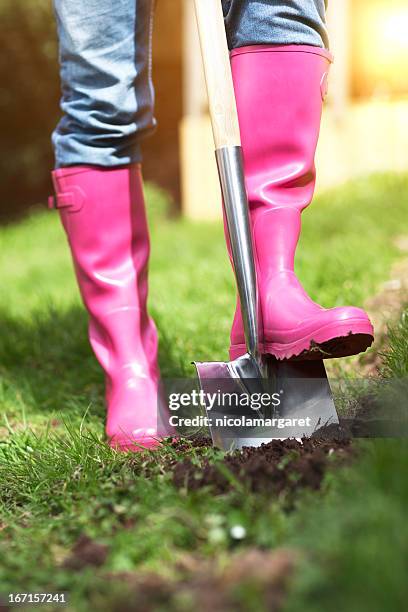 gardening - digging stock pictures, royalty-free photos & images