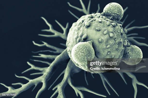 t lymphocytes and cancer cell - elektronenmicroscopisch-beeld stockfoto's en -beelden