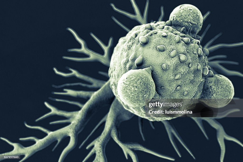 T Lymphocytes and Cancer Cell