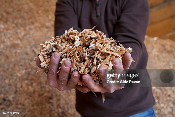 Sawdust High-Res Stock Photo