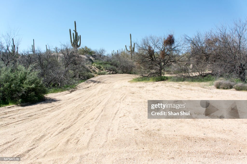 Sand road in Arizona desert