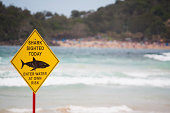 A yellow shark warning sign ahead of the waves at the beach