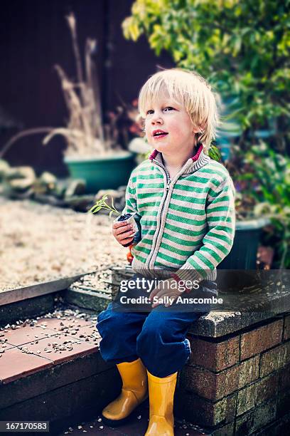 little boy holding a plant - joghurtbecher stock-fotos und bilder