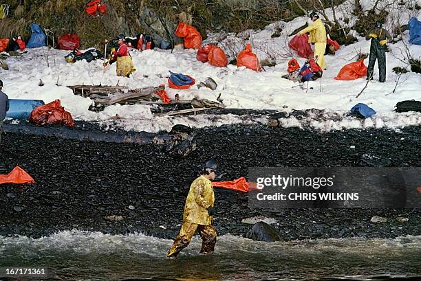 An oil cleanup worker walks through the oily surf at Naked Island on Prince Williams Sound 02 April 1989 as beach cleanup goes on in background, a...