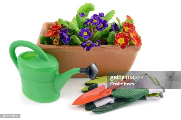 flowerpot with primroses and gardening tools - plastic flower pot stock pictures, royalty-free photos & images