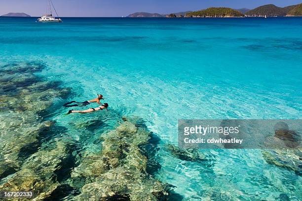 honeymoon couple snorkeling in the caribbean waters - us virgin islands stock pictures, royalty-free photos & images