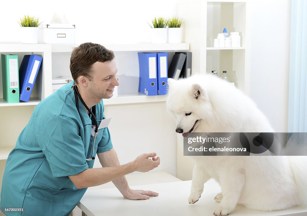 Veterinário